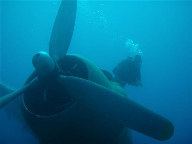 erman dive